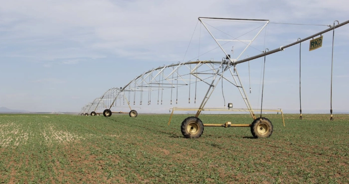 Окупанти на Херсонщині півтори місяці не виплачують зарплату працівникам одного із зрошувальних підприємств