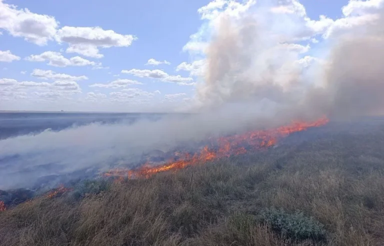 РФ стверджує, що окуповані території Донбасу та півдня України відвідали близько 100 тисяч туристів