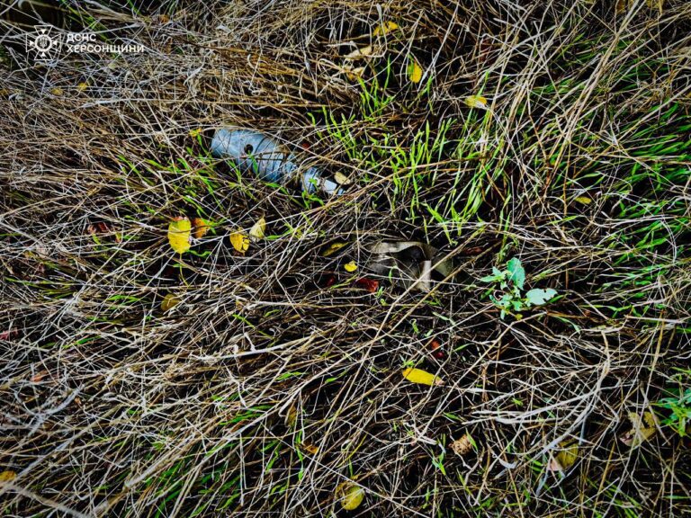 На Херсонщині в одній із громад виявили вибухонебезпечний предмет