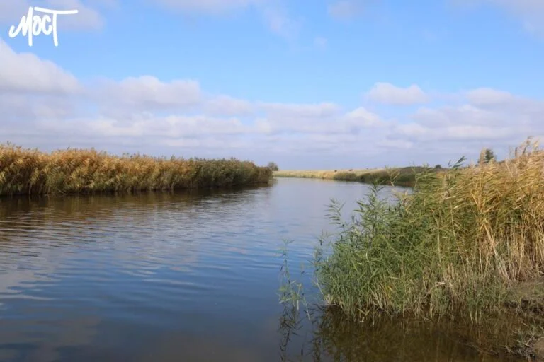 Водні екосистеми Херсонщини втратили 1,3 млрд грн через російське вторгнення