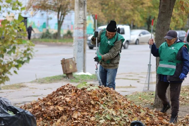 Херсонська МВА збиратиме для Зеленського досягнення “простих людей” прибирання