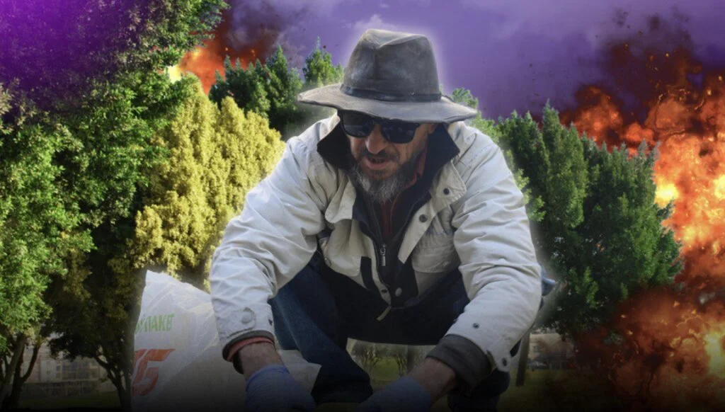 “How to plant? Green up!” or trees under shelling