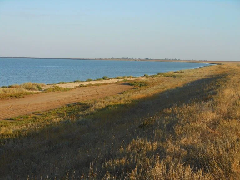 Окупанти оголосили про створення Азово-Сиваського нацпарку на лівобережжі Херсонщини