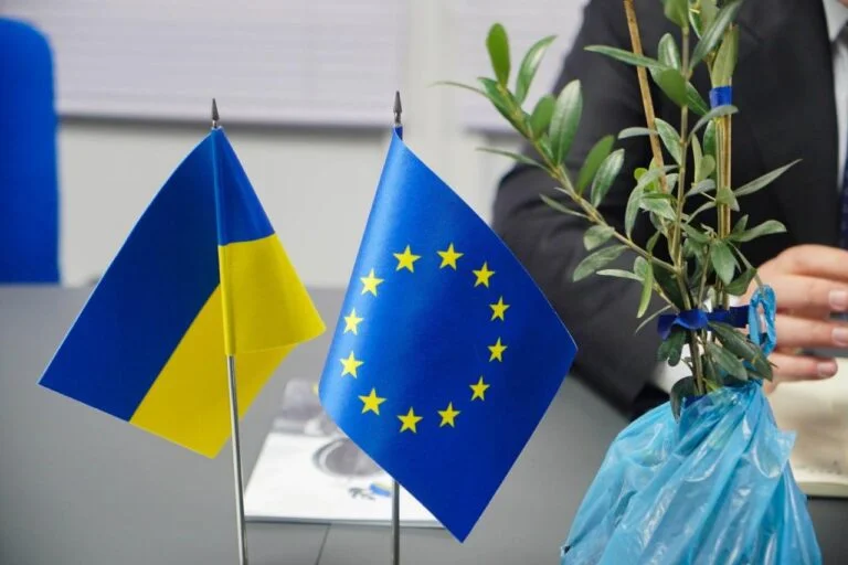 На Херсонщині планують створити плантацію оливкових дерев