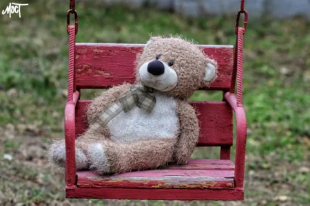 У 2025 році для ДБСТ із Херсонщини придбали сім нових будинків