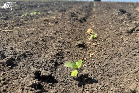 Верховна Рада розгляне законопроєкт про зменшення податків для аграріїв прифронтових територій