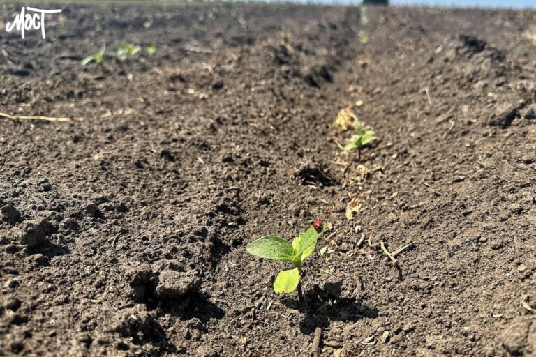 The Verkhovna Rada will consider a bill to reduce taxes for farmers in frontline territories