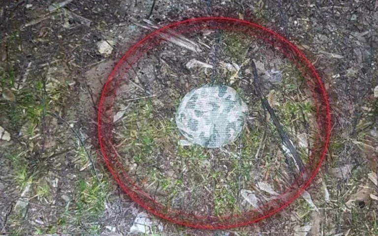 На російській міні «пряник» у Херсоні підірвався місцевий житель