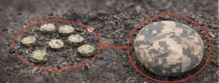 У Комишанах виявили протипіхотні міни на одній із вулиць