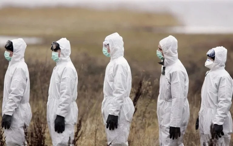 GUR has warned of the risk of anthrax spreading in the temporarily occupied territories of Kherson Oblast