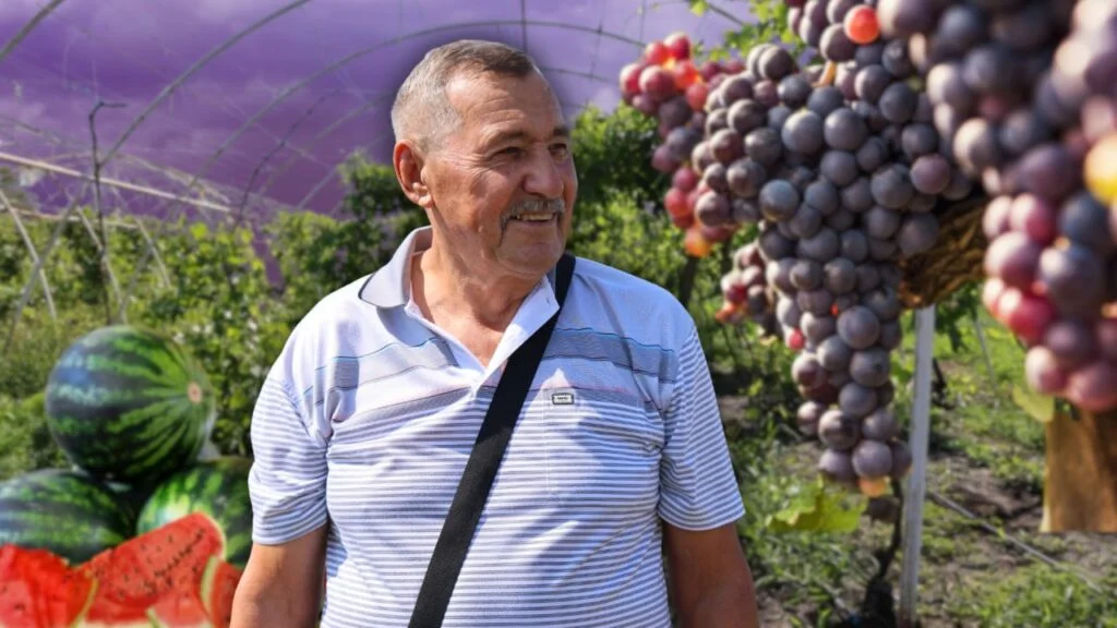 “And she collected the seeds and preserved them.”
The story of a farm where watermelons and grapes are grown Чоловік стоїть у теплиці біля винограду та кавунів