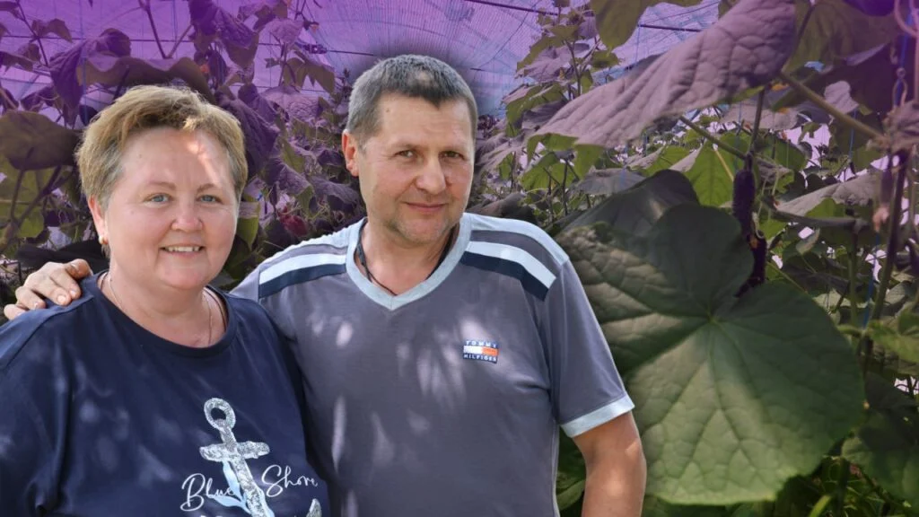“Рослини – ті самі діти”. Родина вчителів із Давидового Броду створила тепличне господарство на Херсонщині Чоловік і жінка стоять у теплиці з огірками