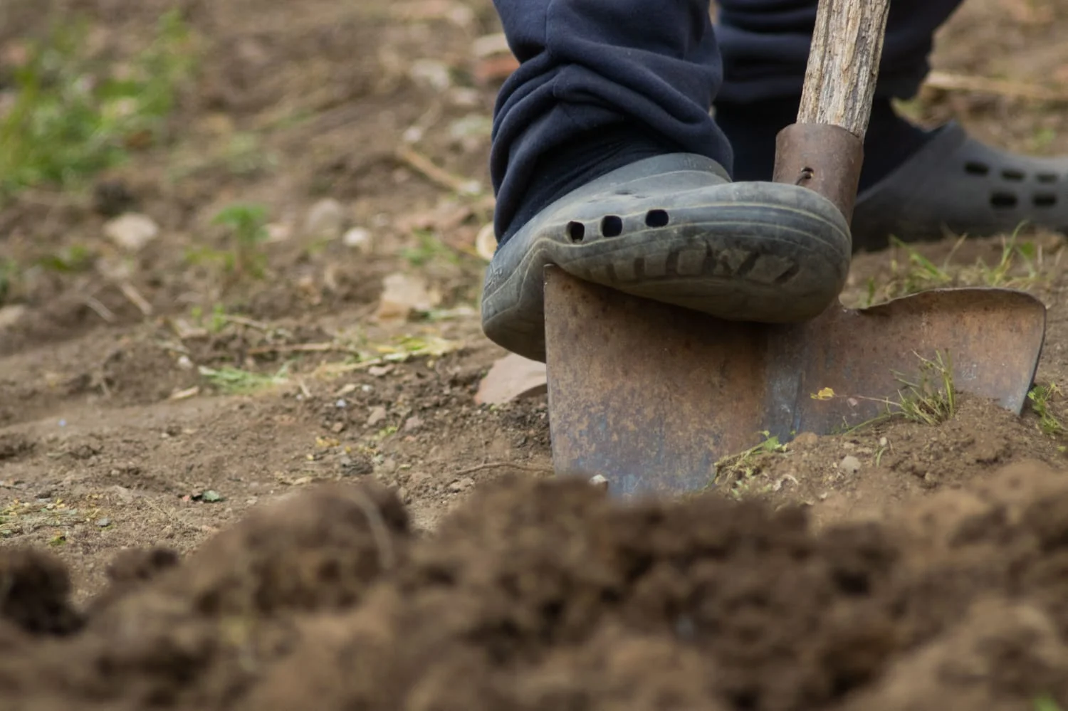 The Kherson funeral service plans to earn more than 6 million UAH from digging graves in 2027